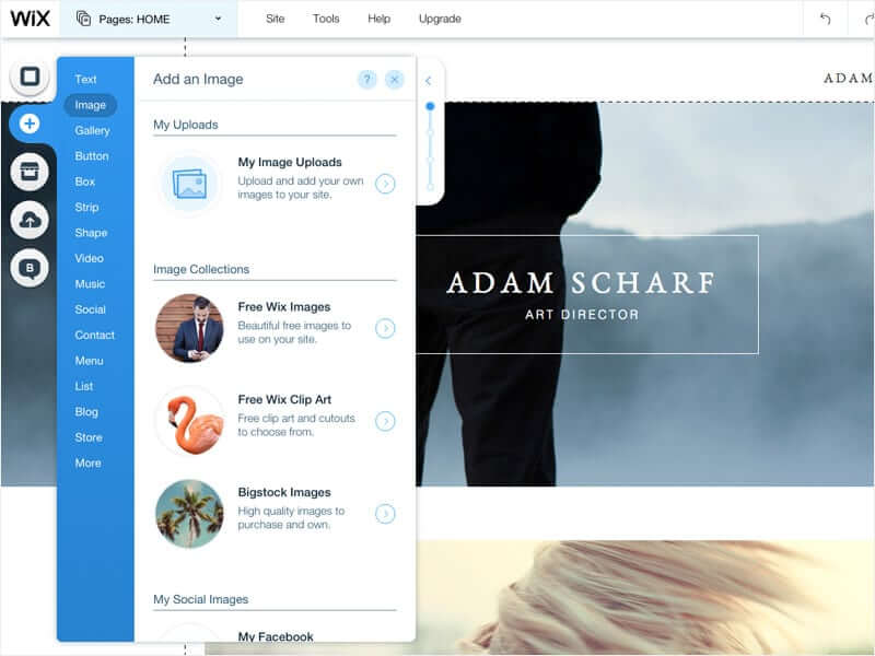 customisable-future of wordpress