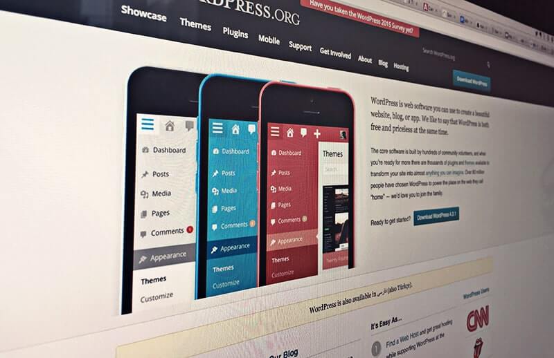 one off-future of wordpress