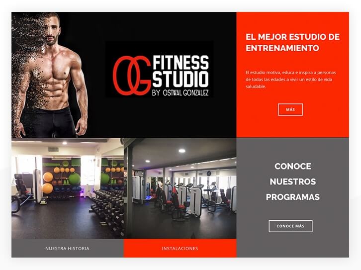 ogfitness- freelancing business