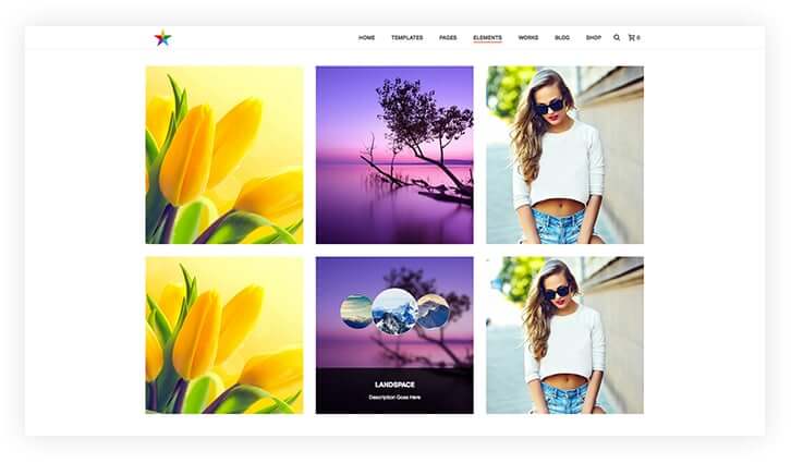 photo album- professional wordpress portfolio
