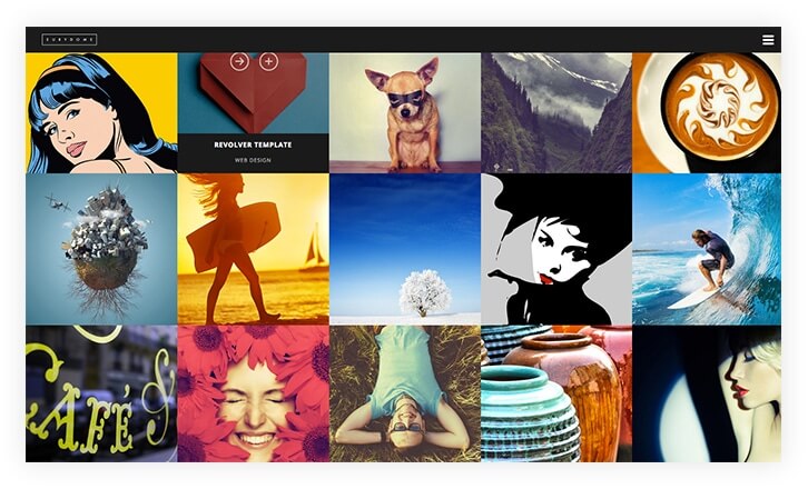 portfolio- professional wordpress portfolio