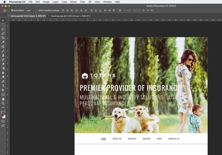 designing for WordPress