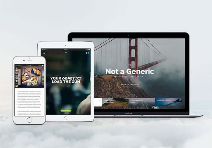 WordPress Slider Type