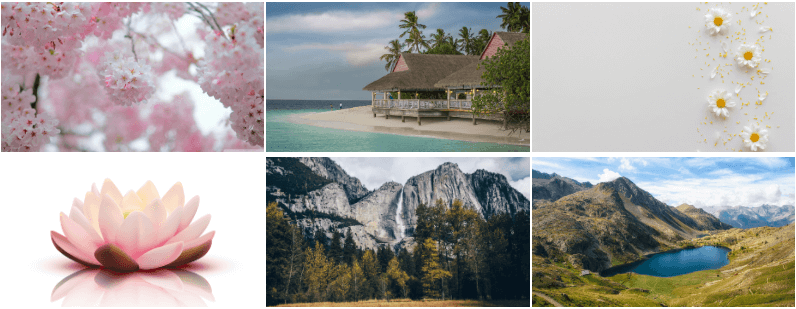 Creating a New Widget Classic Layout Output
