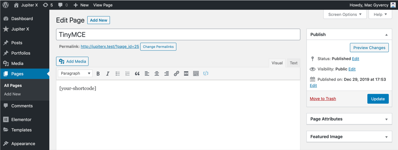 Shortcode in WordPress Tiny