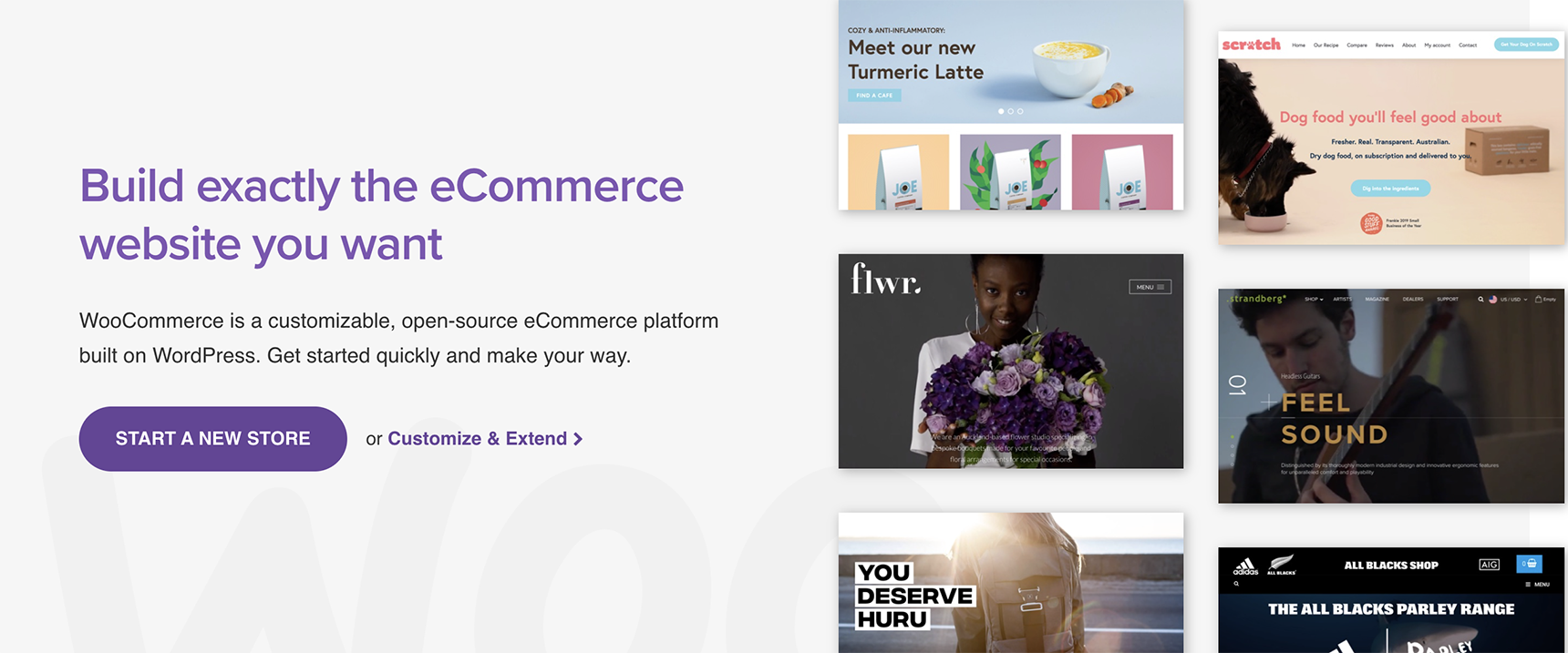 monetize a WordPress blog - eCommerce