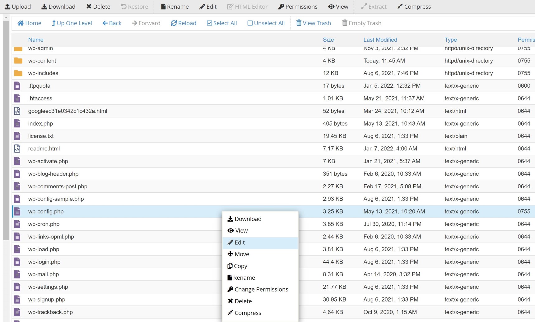 WordPress debug mode - using code